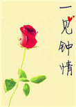 一见钟情[娱乐圈]